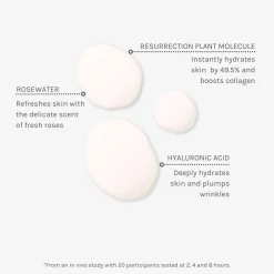 Age Defying Hydrating Face Mist, 100 ml - kosteuttava kasvosuihke