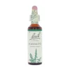 Agrimony-kukkatipat (Maarianverijuuri) No 1, 20 ml