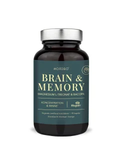 Brain & Memory Magnesium, 90 kaps
