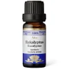 Eukalyptus, eteerinen öljy, 10 ml