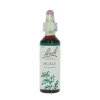 Holly-kukkatipat (Piikkipaatsama) No 15, 20 ml