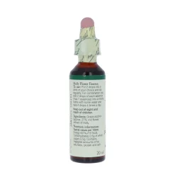 Holly-kukkatipat (Piikkipaatsama) No 15, 20 ml
