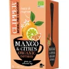 Mango & sitrus yrttitee 20 ps